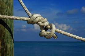 The essential guide to Basic Knots