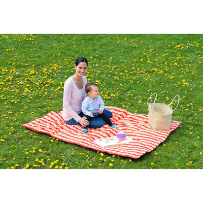 Molly Blanket