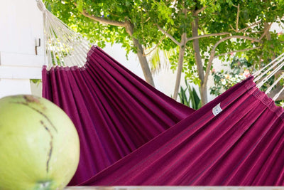 Amazonas Hammock Arte Hammock