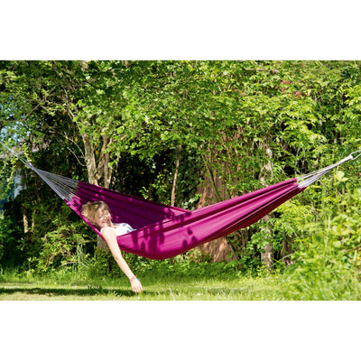 Florida Hammock