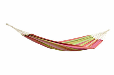 Tahiti Hammock