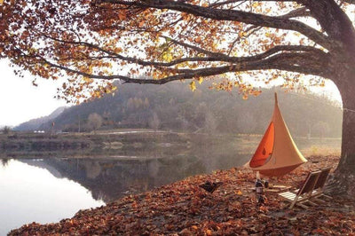 Vivere Hammock Chair SALE Cacoon Double Hanging Chair