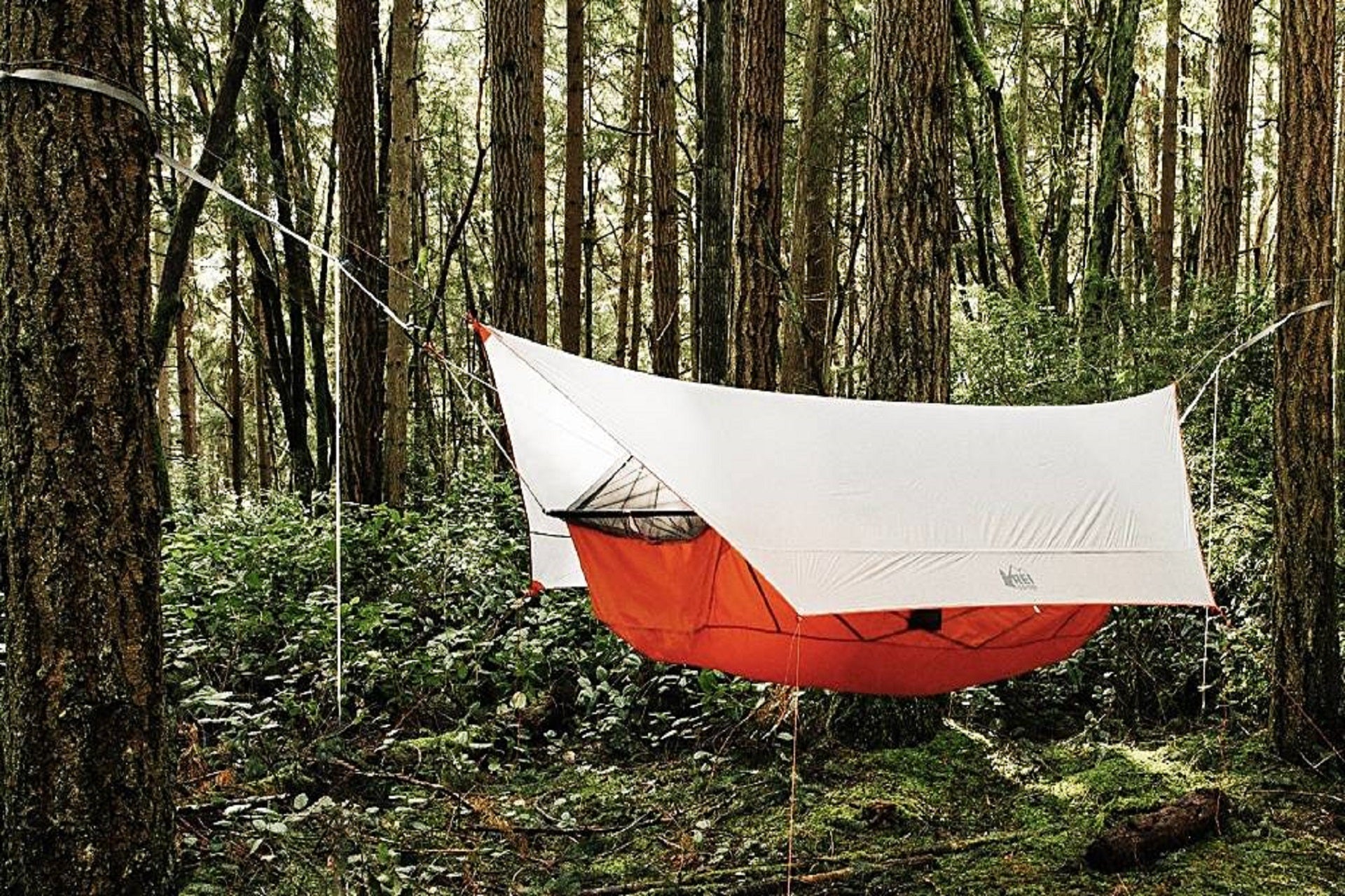 The Basics of Setting Up Hammocks for Camping