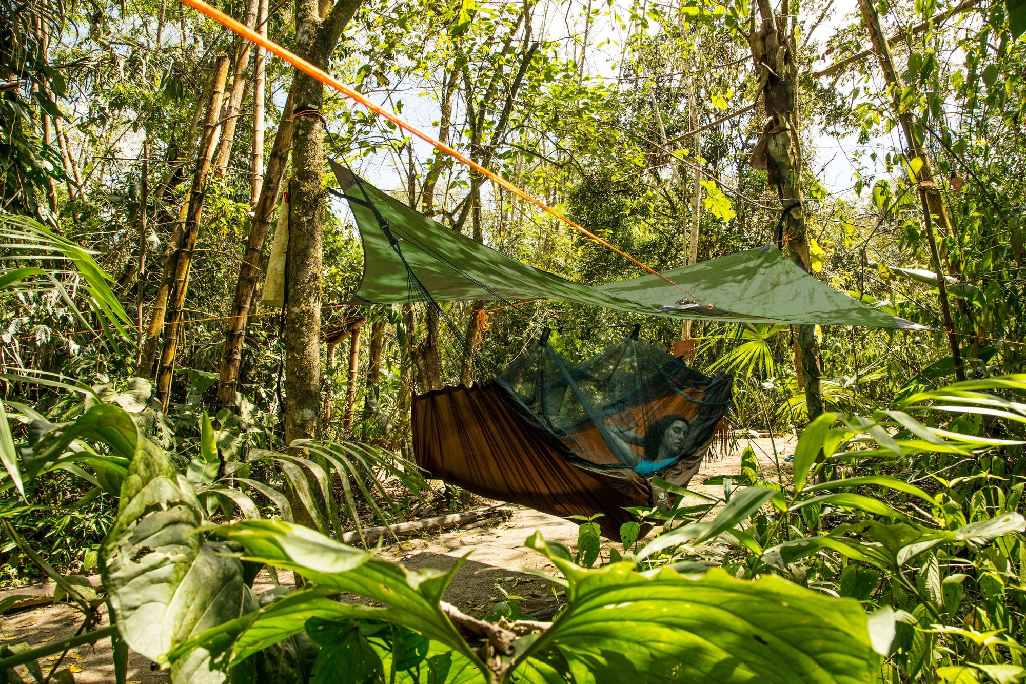 tent in jungle Jungle Tent Pro For Traveller Hammock Includes Bag And 4 Tent Pegs